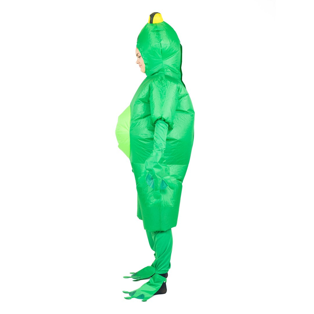 Inflatable Frog Costume