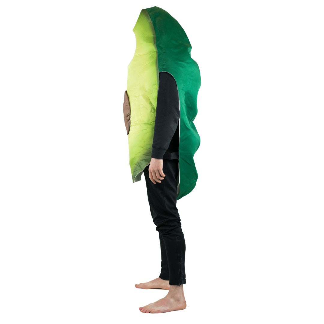 Avocado Costume