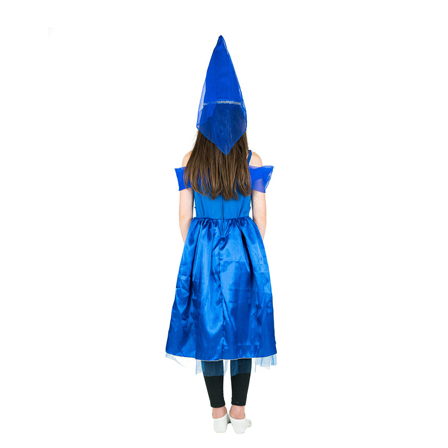 Blue Princess Costume