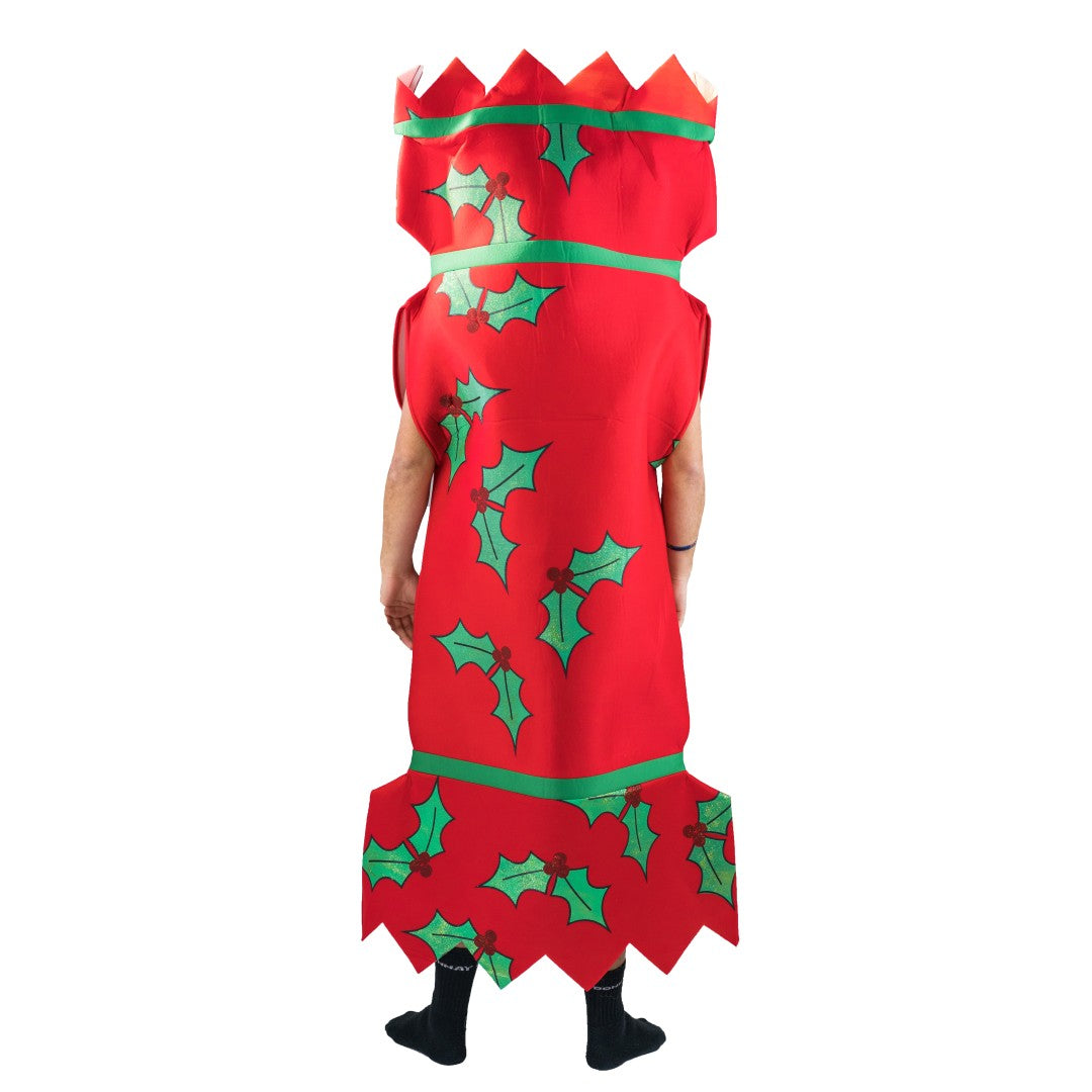 Adults Christmas Cracker Costume