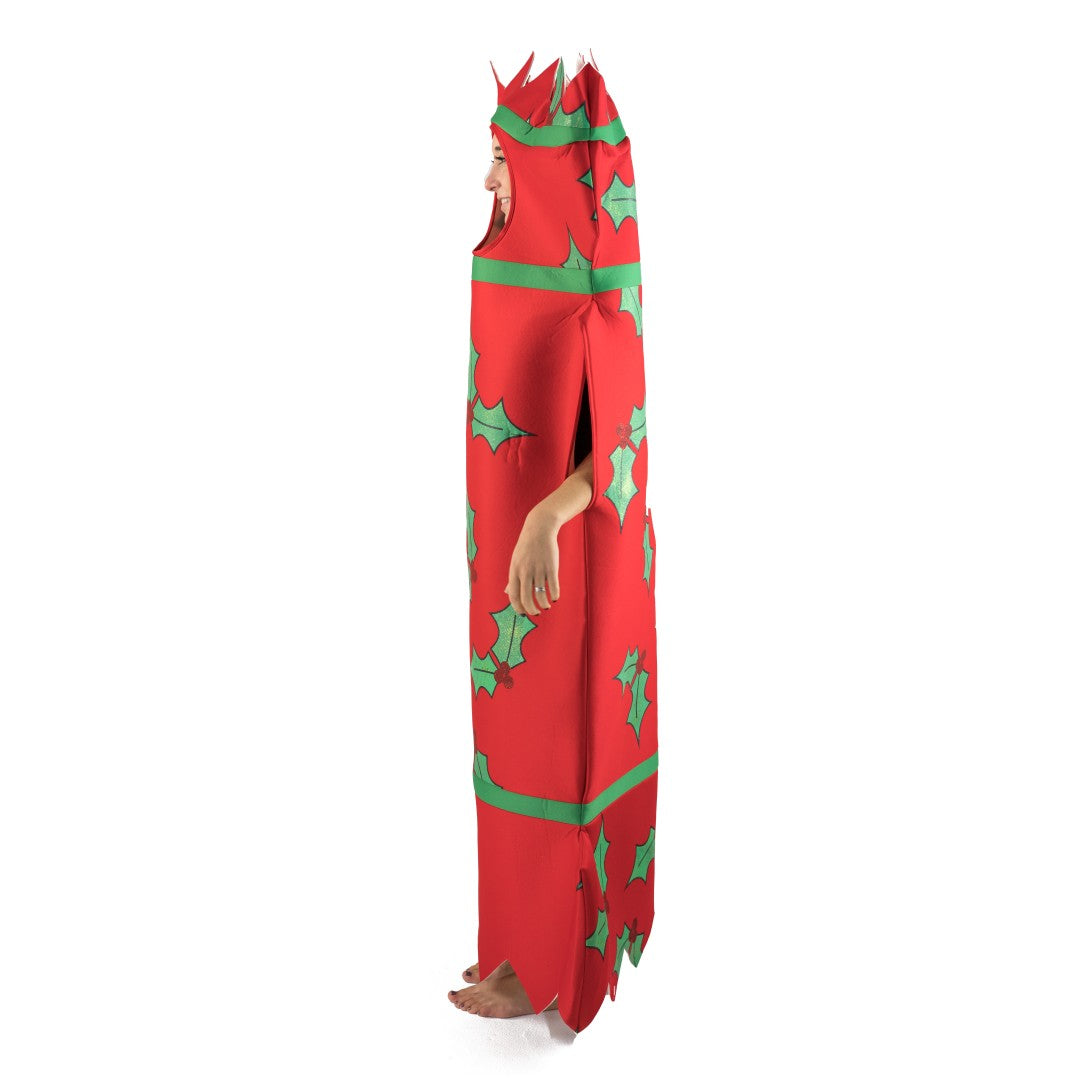 Adults Christmas Cracker Costume