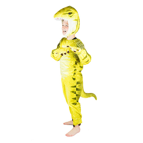 Dinosaur Costume