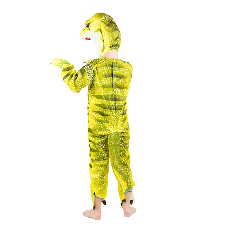 Dinosaur Costume