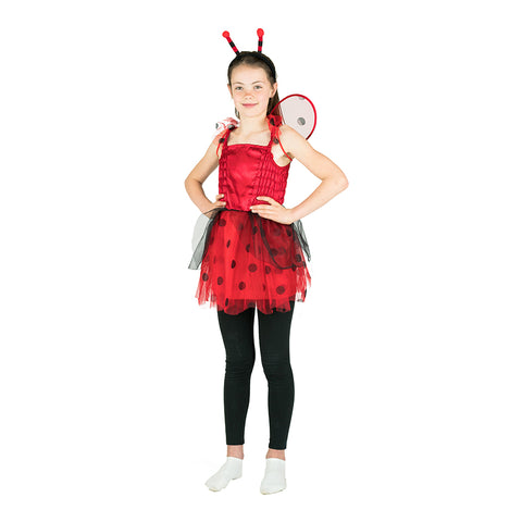 Ladybird Costume