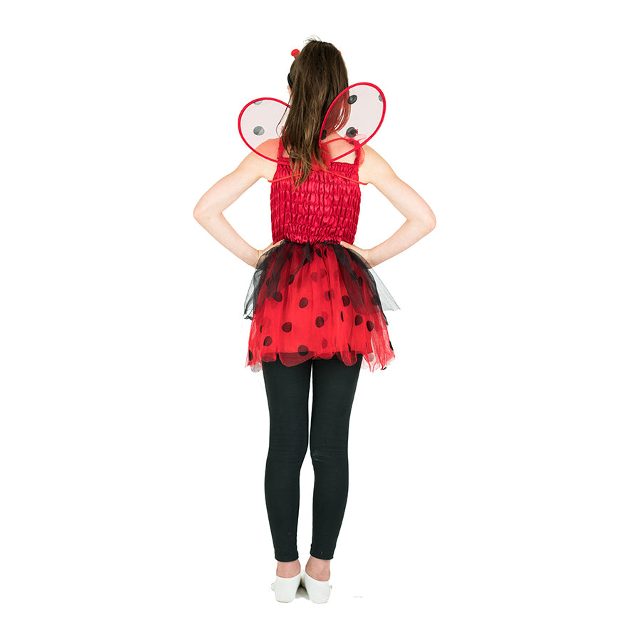 Ladybird Costume