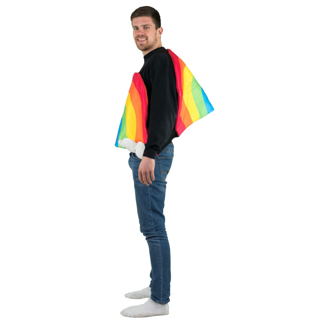 Rainbow Costume