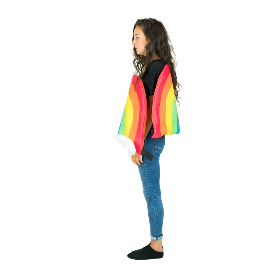 Rainbow Costume